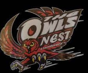 Owls Nest Tearoom Diner